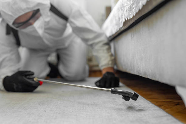 Professional Pest Control technician working in Carroll County County, MD